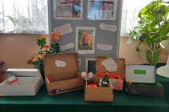 ,,Ania z Zielonego Wzgórza" w pudełkowym wydaniu