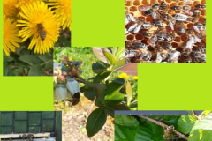 Konkurs biblioteczny „Przyroda na okładce” 