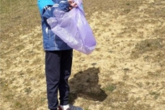 MicrosoftTeams-image (1)