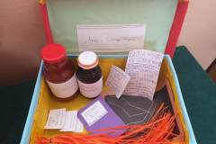 329901062_152475020986085_5482107997292598922_n