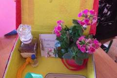 333691762_716994346626597_2232050479226862806_n