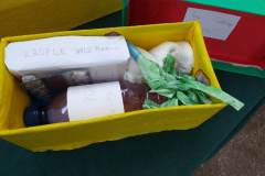 333702422_563730099154761_6720418683054933366_n