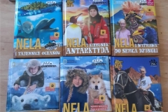 MicrosoftTeams-image (3)