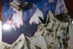 Zdjecie-WhatsApp-2025-10-08-o-17.57.30_4104e8ef