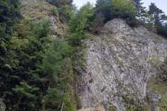 Zdjecie-WhatsApp-2025-10-08-o-17.58.06_70d27a5a