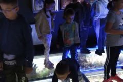 IMG_20210916_110029