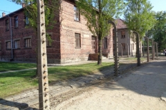 DSC06260